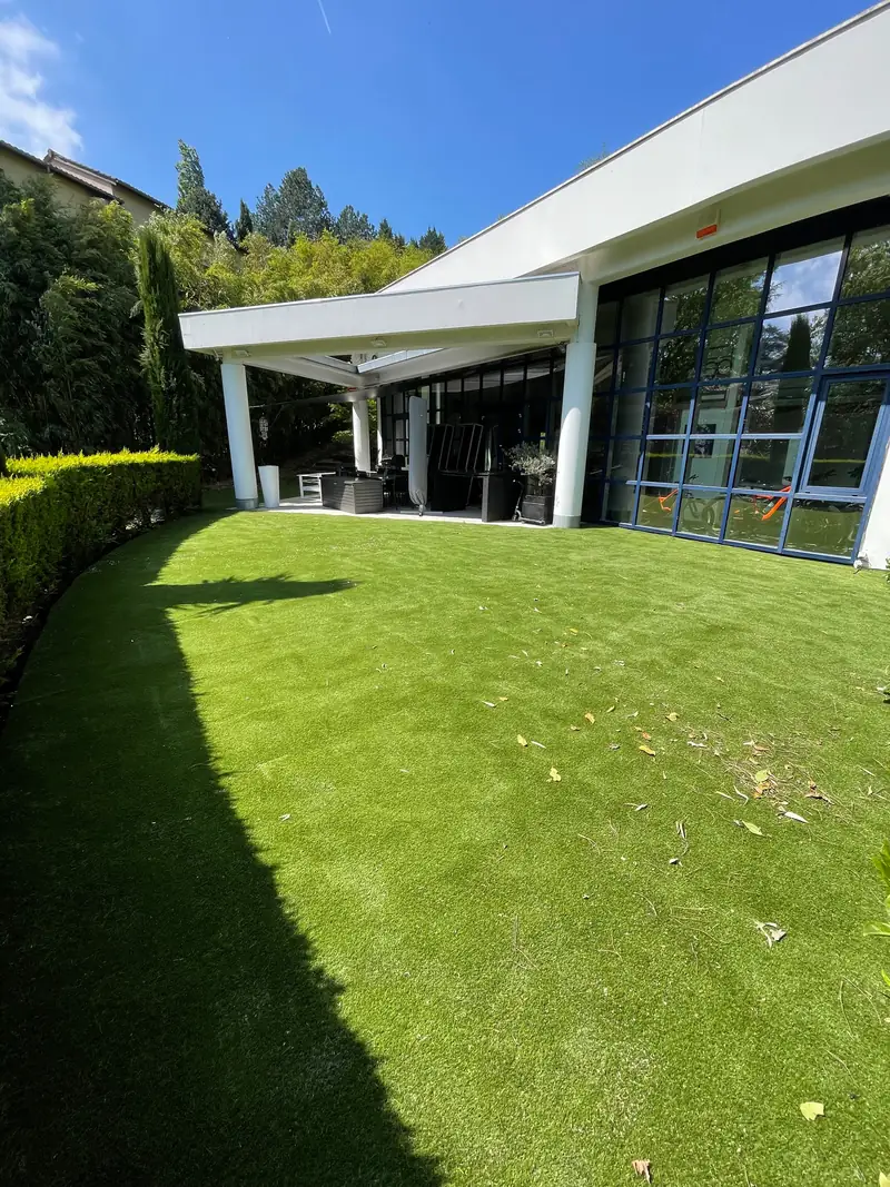 Jardin en gazon synthétique devant une maison contemporaine à Saint-Didier-au-Mont-d'Or